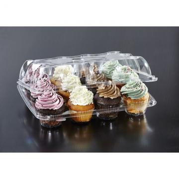 Dart 6" Clear Hinged Food Sandwich Take-Out Container Cupcake Cookie Favor Cake 